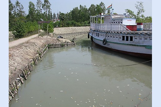 Viaggio in India 2008 - Sunderbans